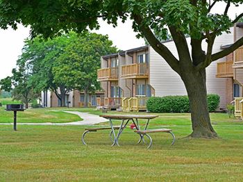 Bbq picnic area